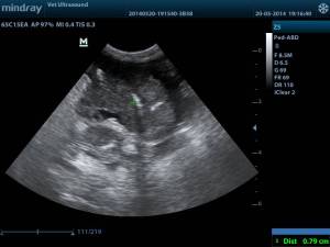 201405201916510003ABD